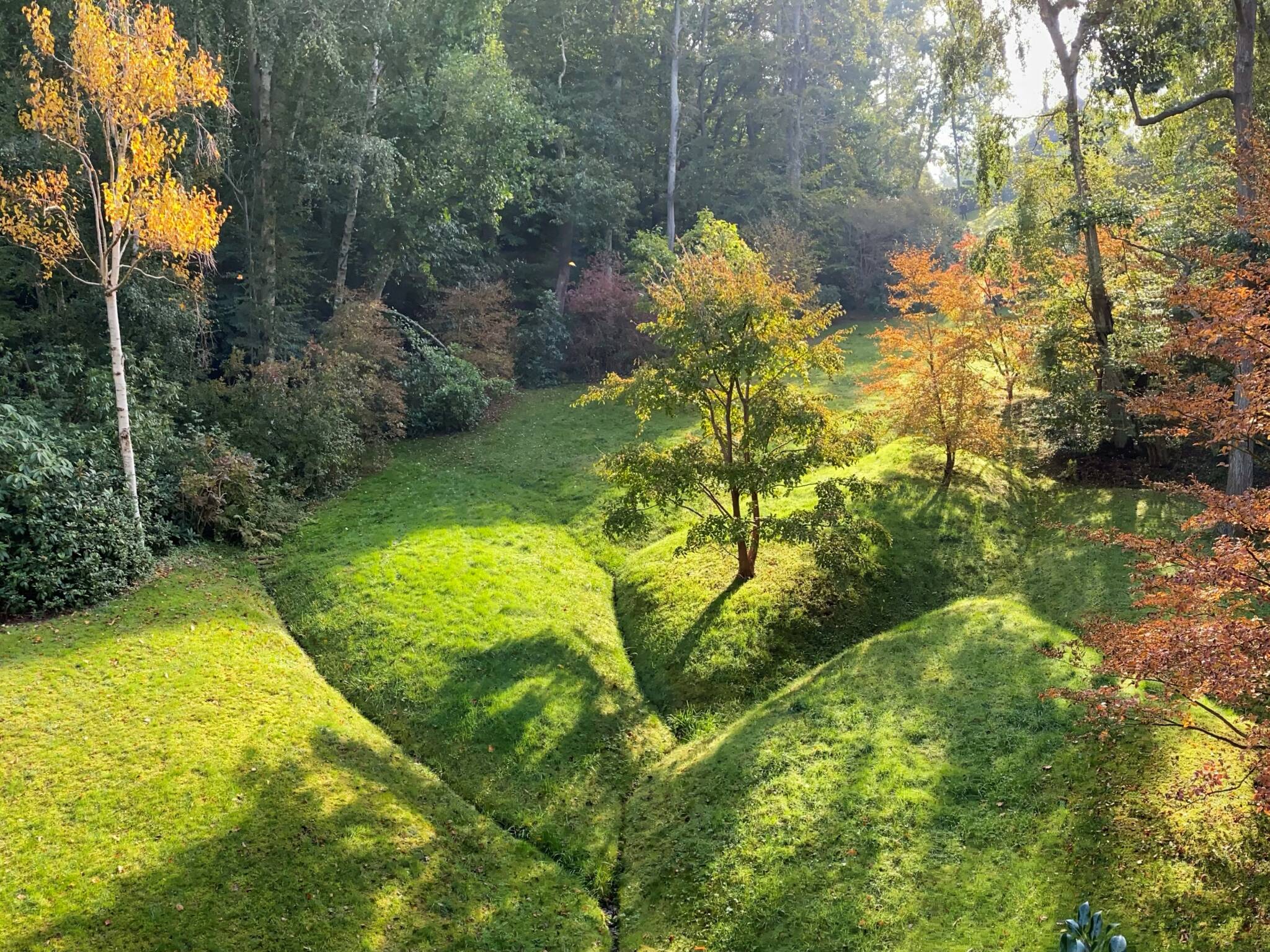 le-bois-de-morville-les-botaniques-de-varengeville