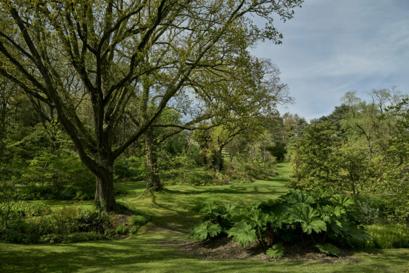 Jardin Le Vasterival
