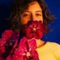 En parallèle – DE LA SEXUALITÉ DES ORCHIDÉES – Théâtre