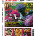 RUSTICA PRATIQUE N°52