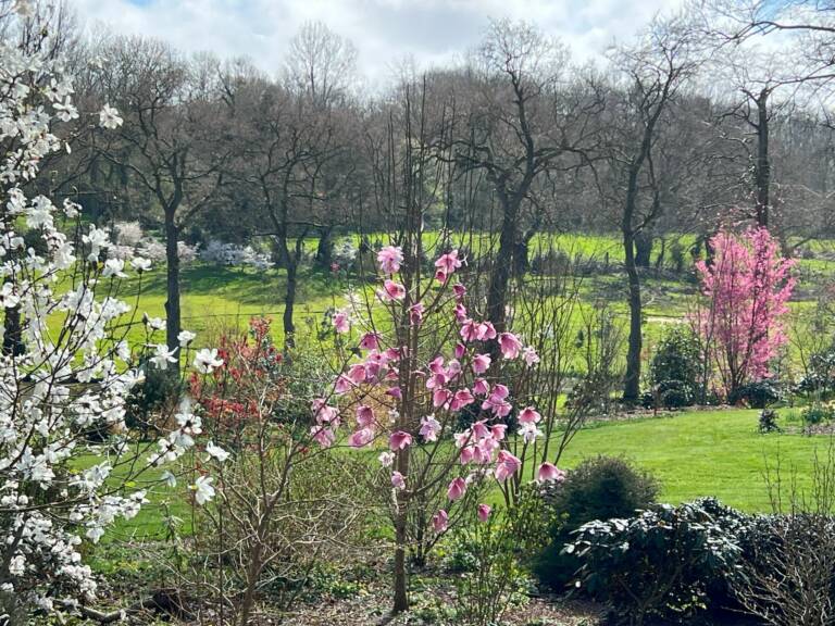 ©Jardin_d'Alexandre_Botaniquesvarengeville_2025_IMG_2769