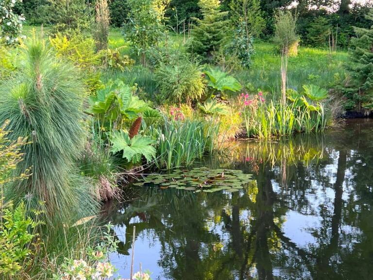 ©Jardin_d'Alexandre_Botaniquesvarengeville_2025_IMG_3084