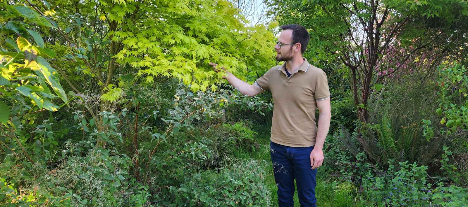 Aurelien-DAVROUX-Botaniques-Varengevillle