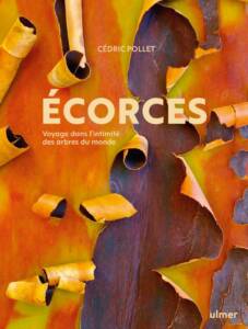 ECORCES I, voyage dans l intimite des arbres du monde 2022