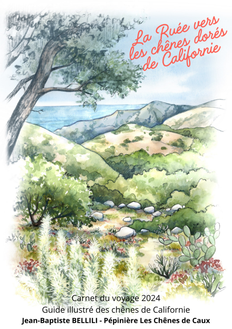 « La Ruée vers les chênes dorés de Californie - Livre botanique » 1