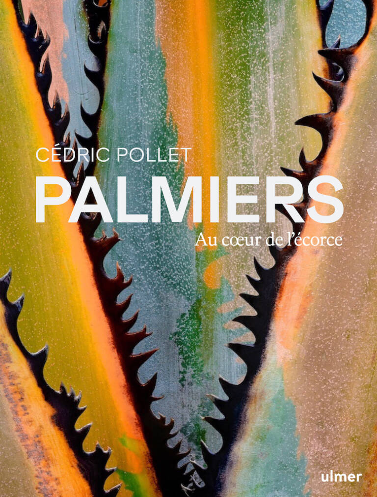 BD.PALMIERS.au coeur de l ecorce