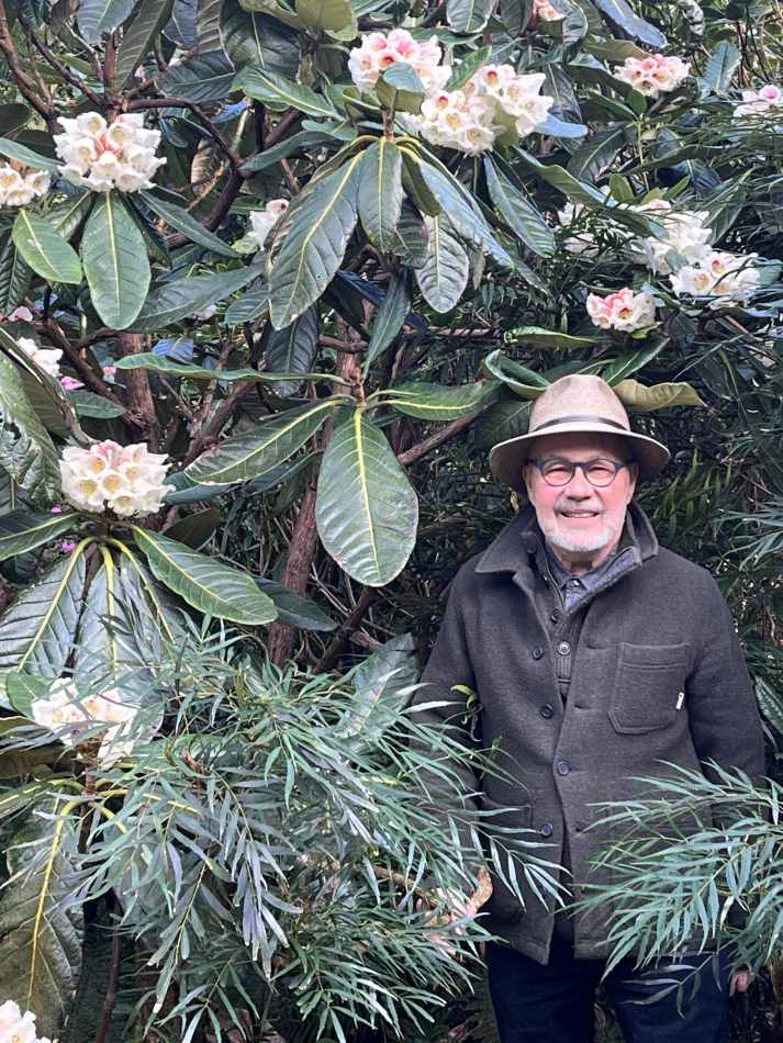 Gérard Jean et Rhododendron sinogrande_botaniques2026