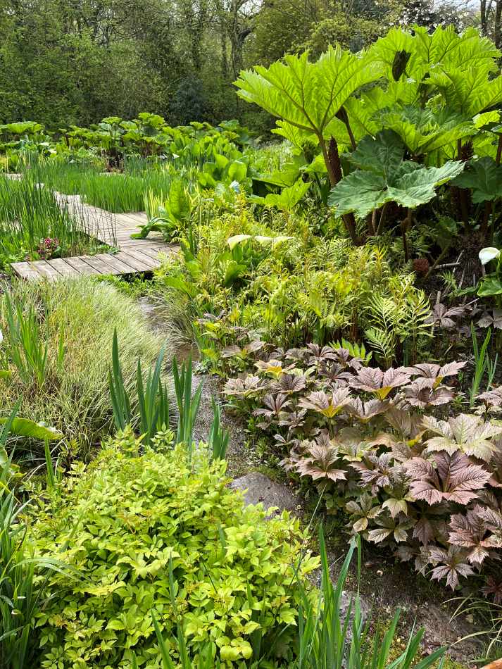 Jardin d'Iris en avril_botaniques2026