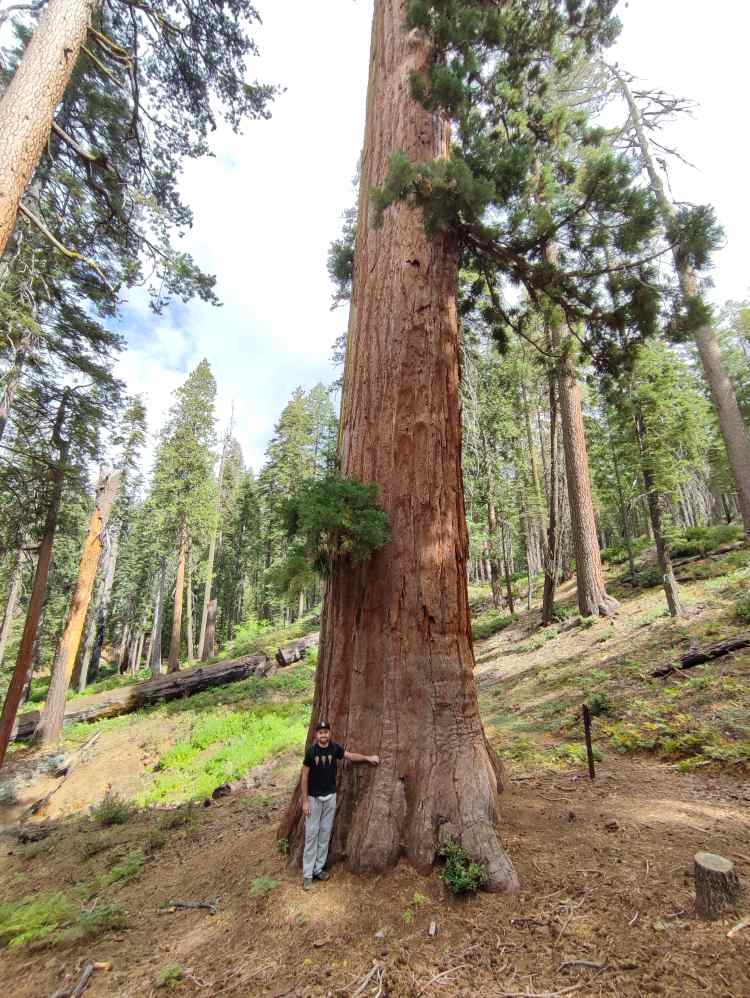 La Sierra Nevada (Californie, Etats-Unis) (c) JB Bellili