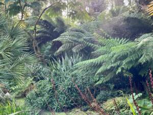 Le jardin austral_botaniques2026