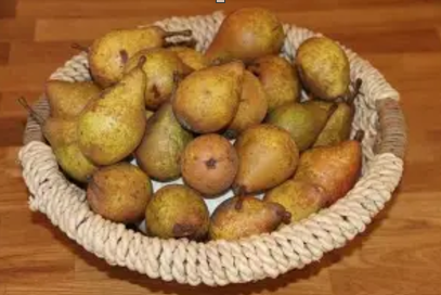 Poire de Fisée 2026-06-17 164949
