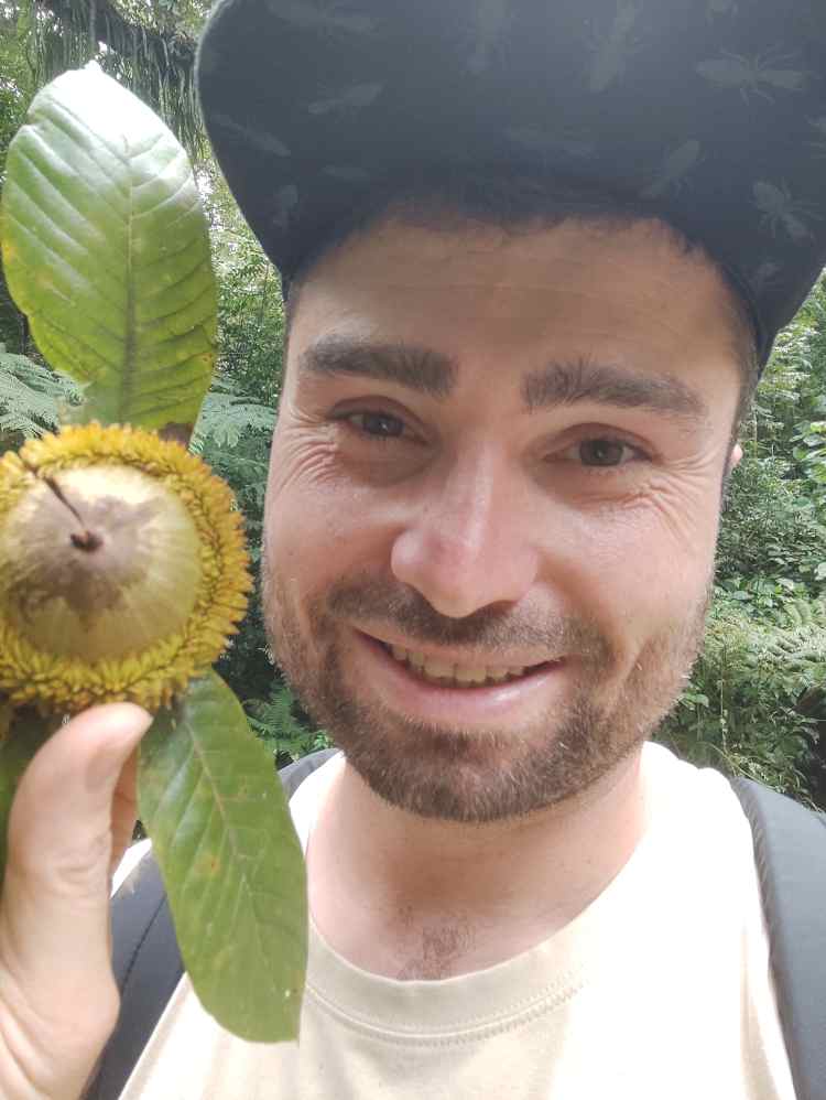 Portrait avec un gland de Q. insignis (Veracruz, Mexique) (c) JB Bellili