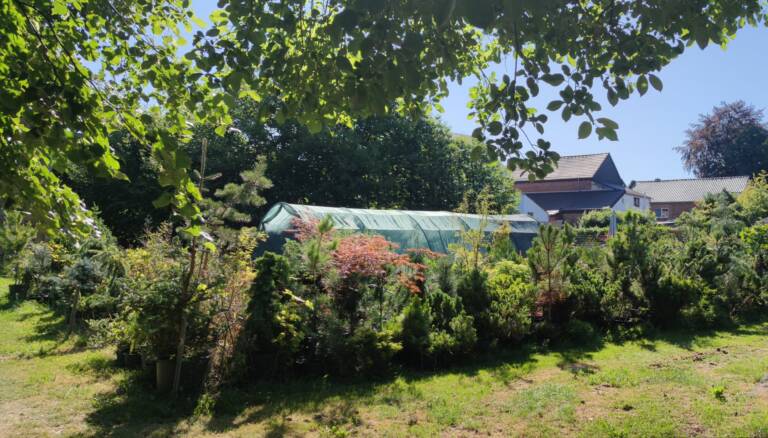 Cette photo 6) Photo JP Misson (2).jpg, a été réduite de 90.16 % le Vendredi 31 Juillet 2026 à 10:07 par Emjysoft Photo Réducteur v6.2 à télécharger sur https://www.emjysoft.com/
