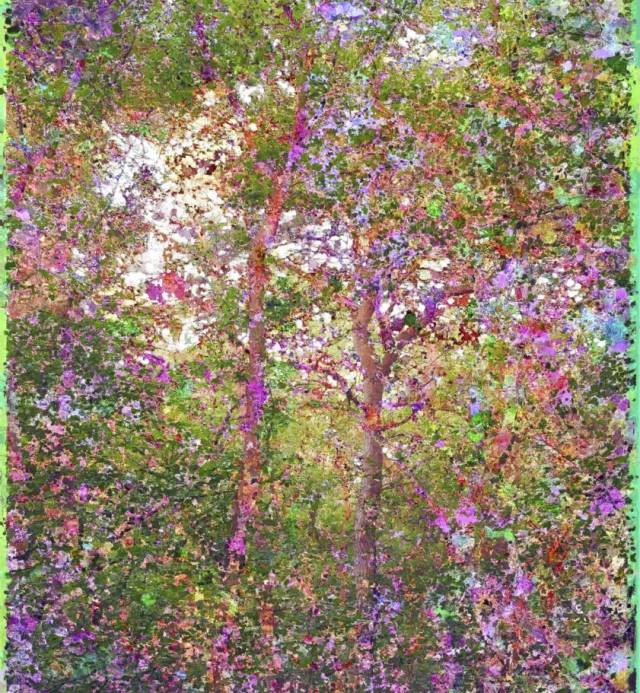 Varengeville-imn°0015-5176x4248-AV20F_i00048-C-2026-01-12-10-12-47-aRGB_L20cm_300dpi-841x1024